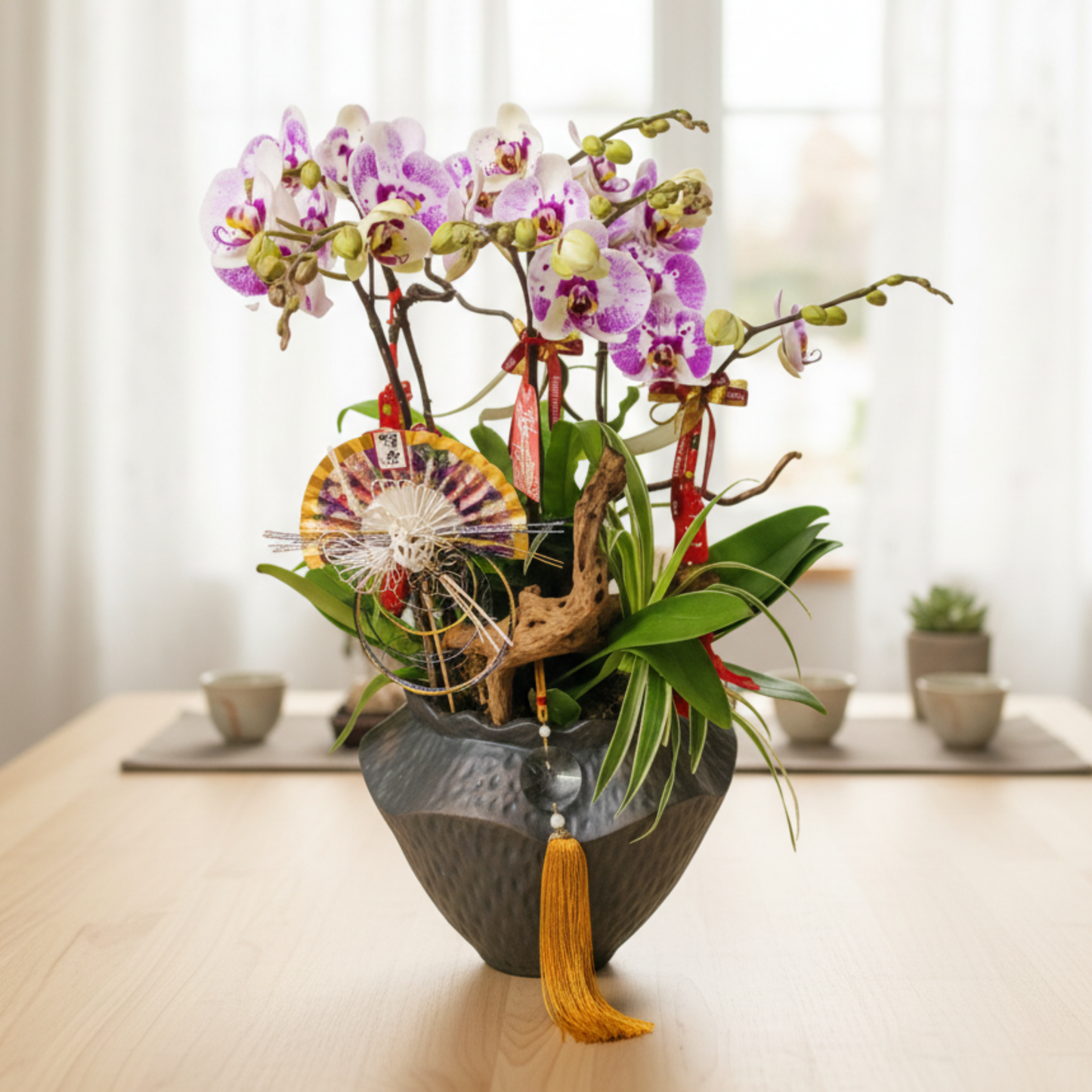 格蘭花店 - 太妃大花蝴蝶蘭6棵 [PON25004] 蘭花 辦公室枱花 大堂枱花 開張 新春蘭花 年花 自家蘭花園種植