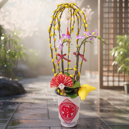 格蘭花店 - 精選小花蝴蝶蘭2棵 [PON25017] 蘭花 辦公室枱花 大堂枱花 開張 新春蘭花 年花 自家蘭花園種植