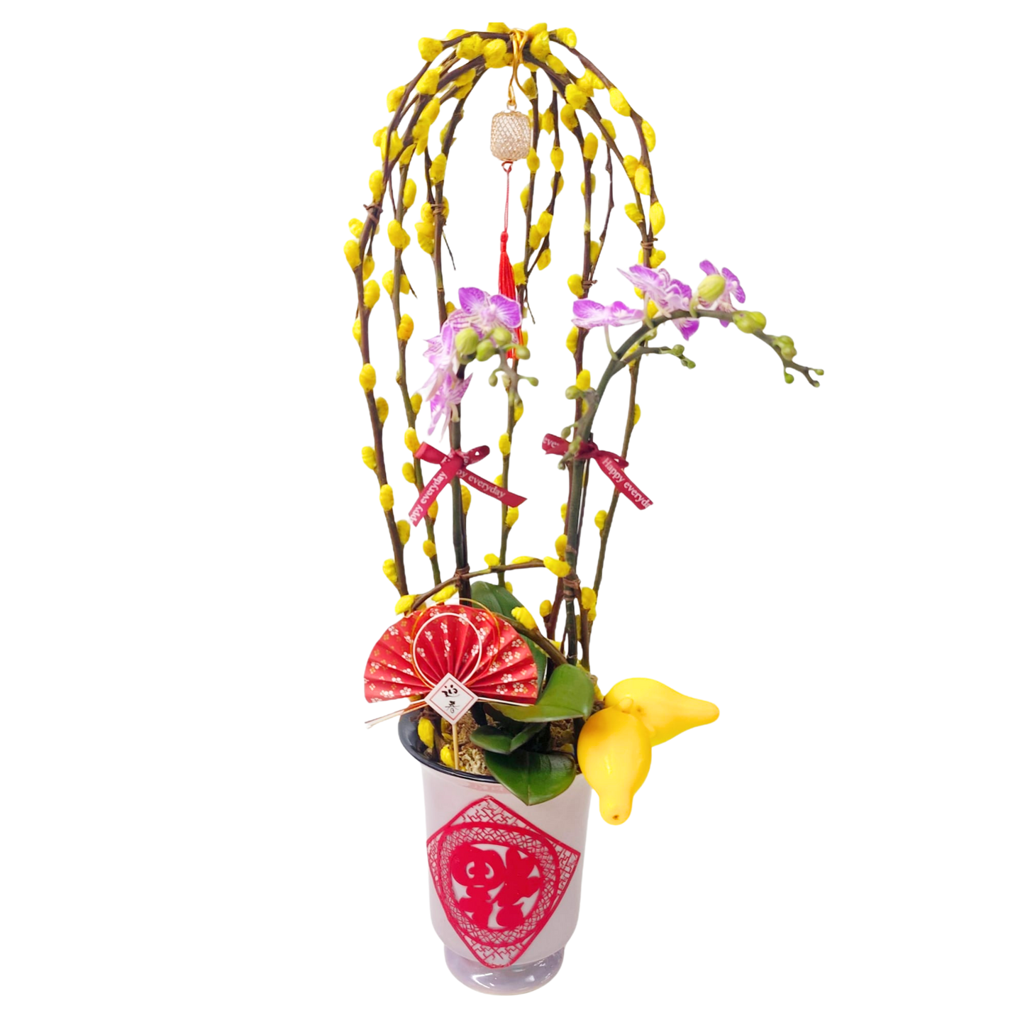 格蘭花店 - 精選小花蝴蝶蘭2棵 [PON25017] 蘭花 辦公室枱花 大堂枱花 開張 新春蘭花 年花 自家蘭花園種植