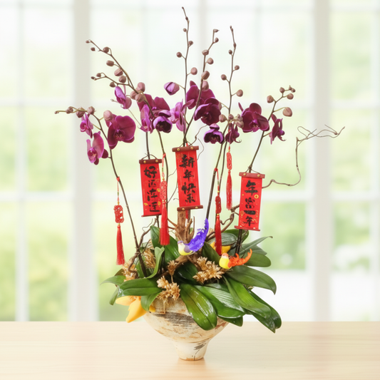 格蘭花店 - 絲絨蝴蝶蘭6棵 [PON25019] 蘭花 辦公室枱花 大堂枱花 開張 新春蘭花 年花 自家蘭花園種植